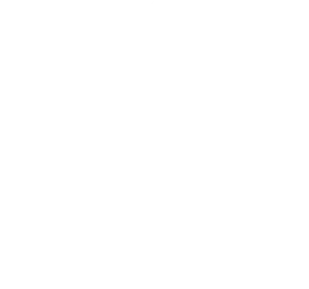 logo-virasat-e-curry